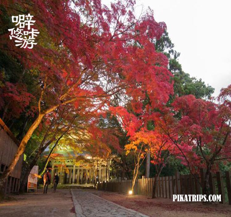 日本京都府旅游攻略,旅行日本京都滋贺