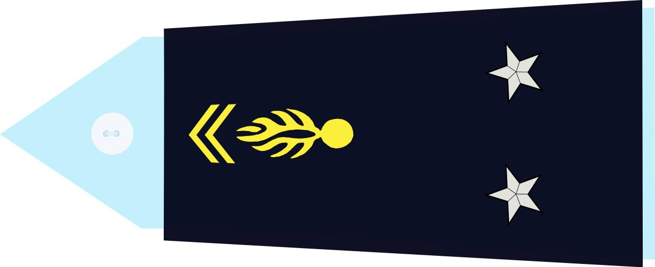 法国将军军衔等级,法国上校是什么军衔