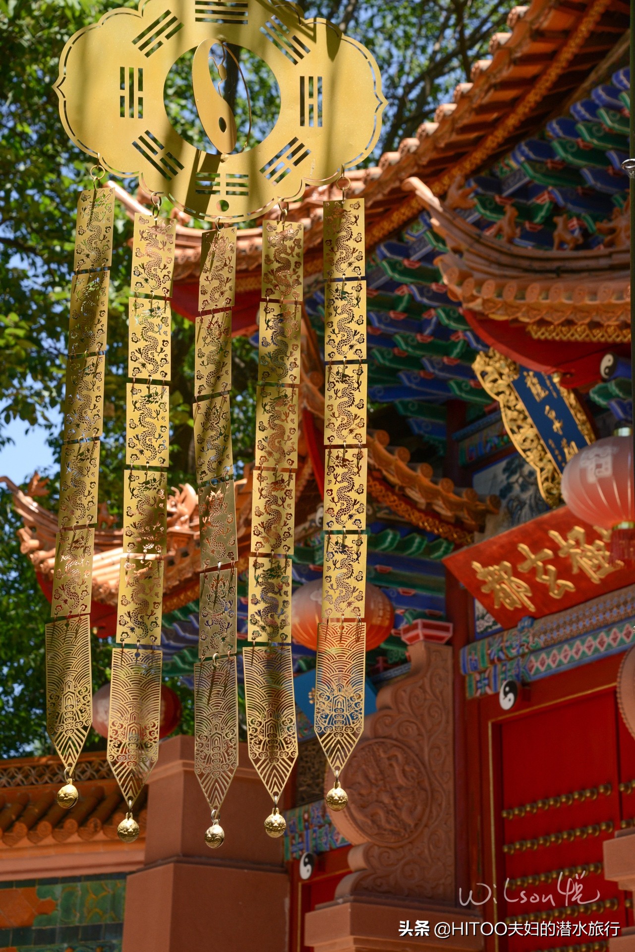 先有黑水祠，再有昆明城，来黑龙潭看奇景异木|自驾游记4