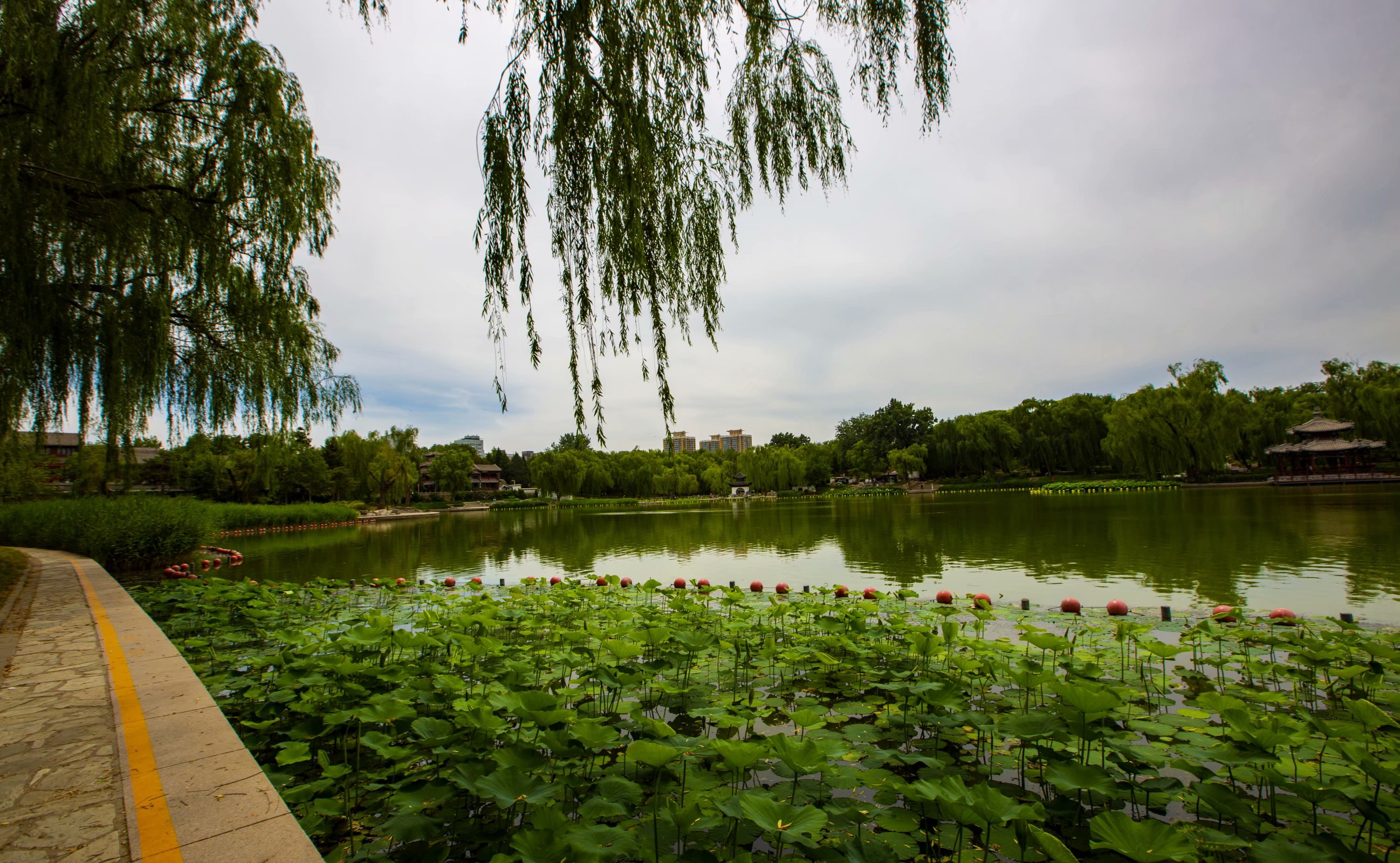 北京陶然亭与陶然桥是一个地方吗,陶然亭公园在陶然桥的哪个方向