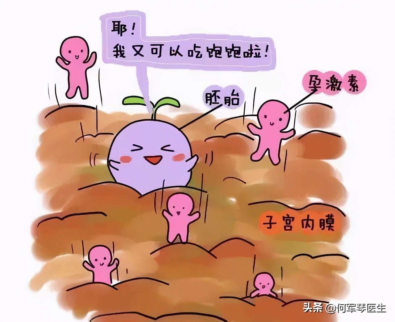 什么样的内膜影响怀孕,生化妊娠子宫内膜厚度