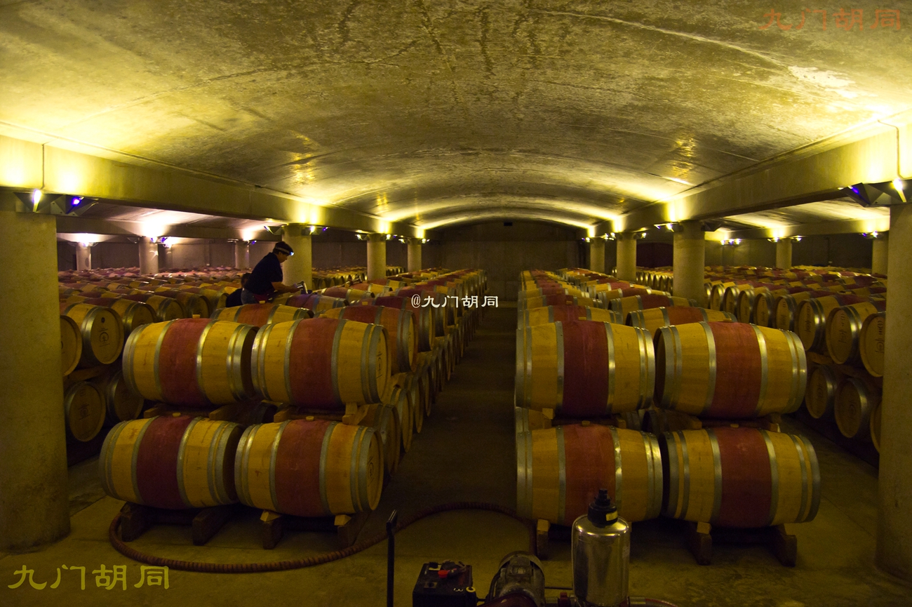 法国旅游葡萄酒庄,法国波尔多酒庄旅游攻略