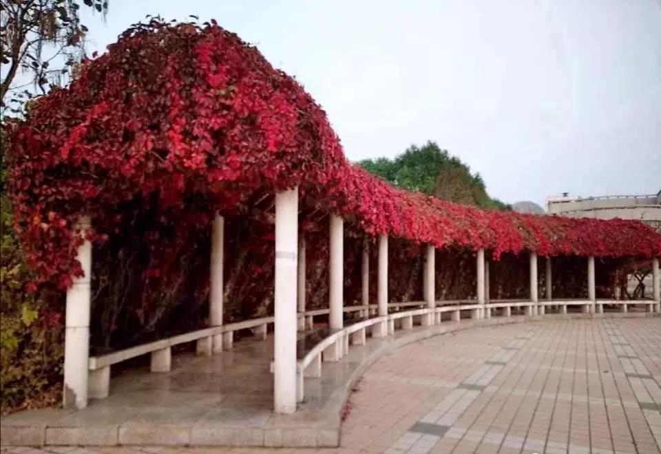 辽宁沈阳的医学大学,了解一下沈阳医学院