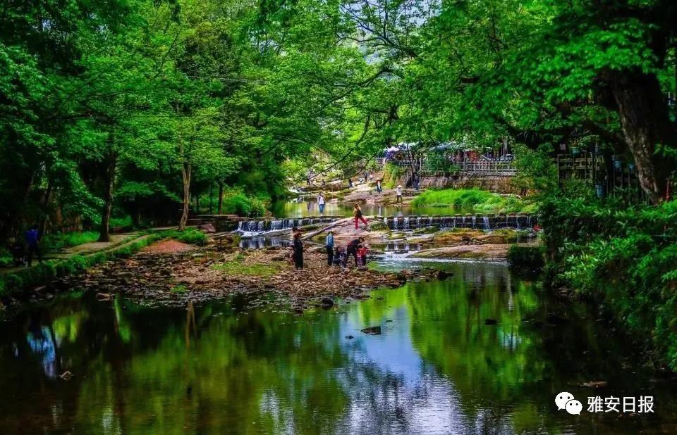 来雅安旅游,雅安二郎山休闲特色民宿