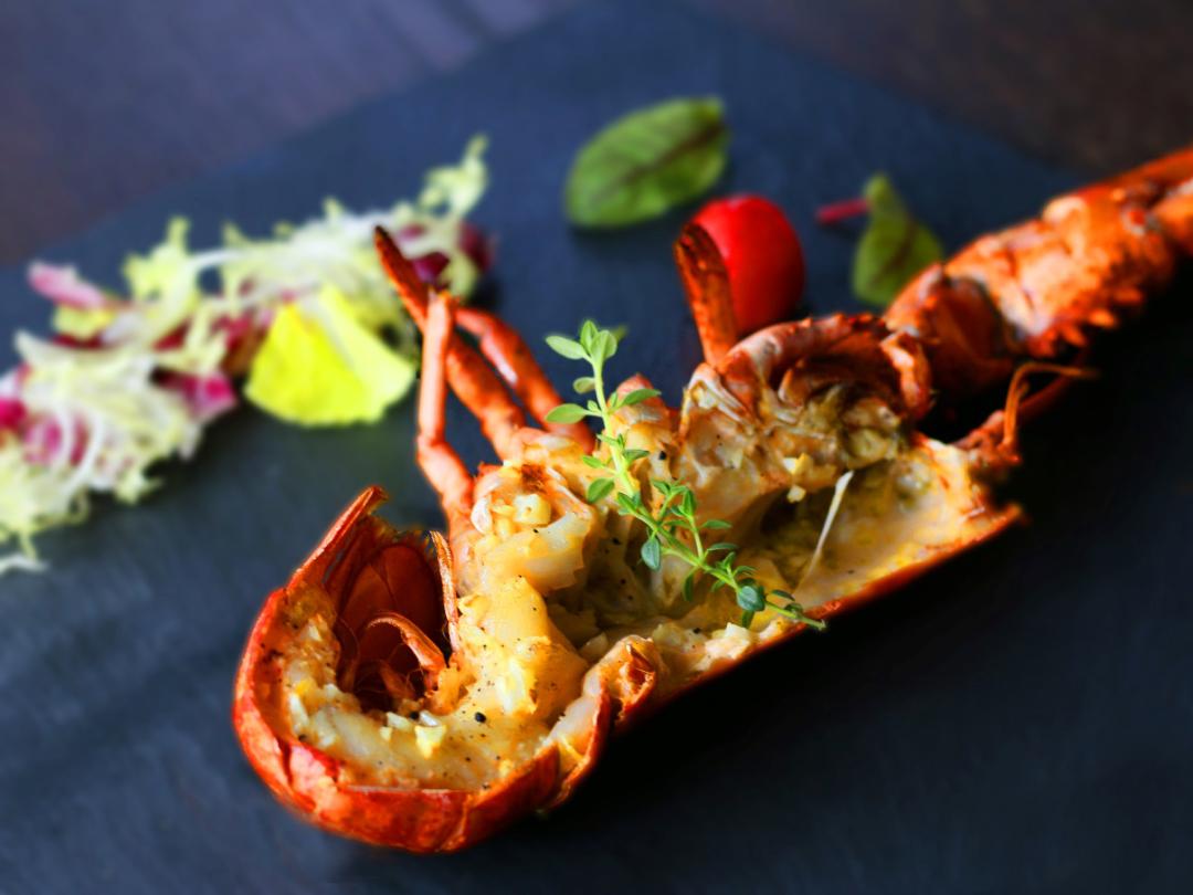 明星都来打卡的店,众多明星大咖打卡的酒店