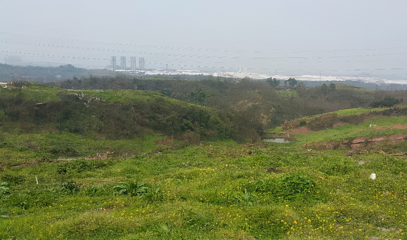 照母山新利好,利好照母山