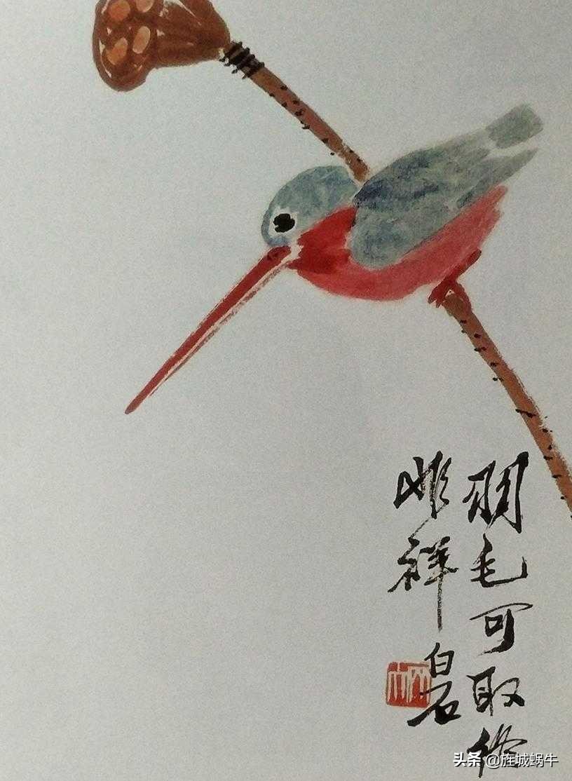 一学就会的禽鸟画法书,禽鸟的画法大全图解