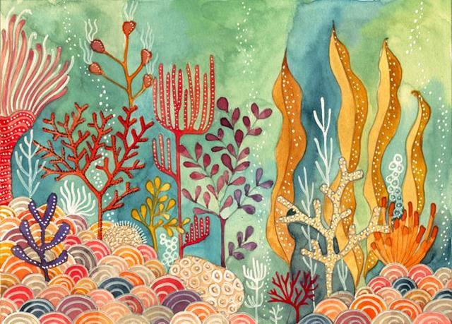 二十年生一寸，三百年长一公斤，这款珍宝为何拥有如此崇高的地位