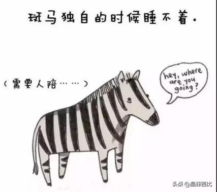 8个关于动物的冷知识,你不知道的二十条动物冷知识