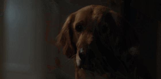 拯救不开心之类电影推荐,十部让人内心平静的电影