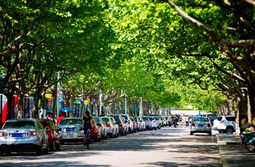 中国石油大学华东实力,中国石油华东实力