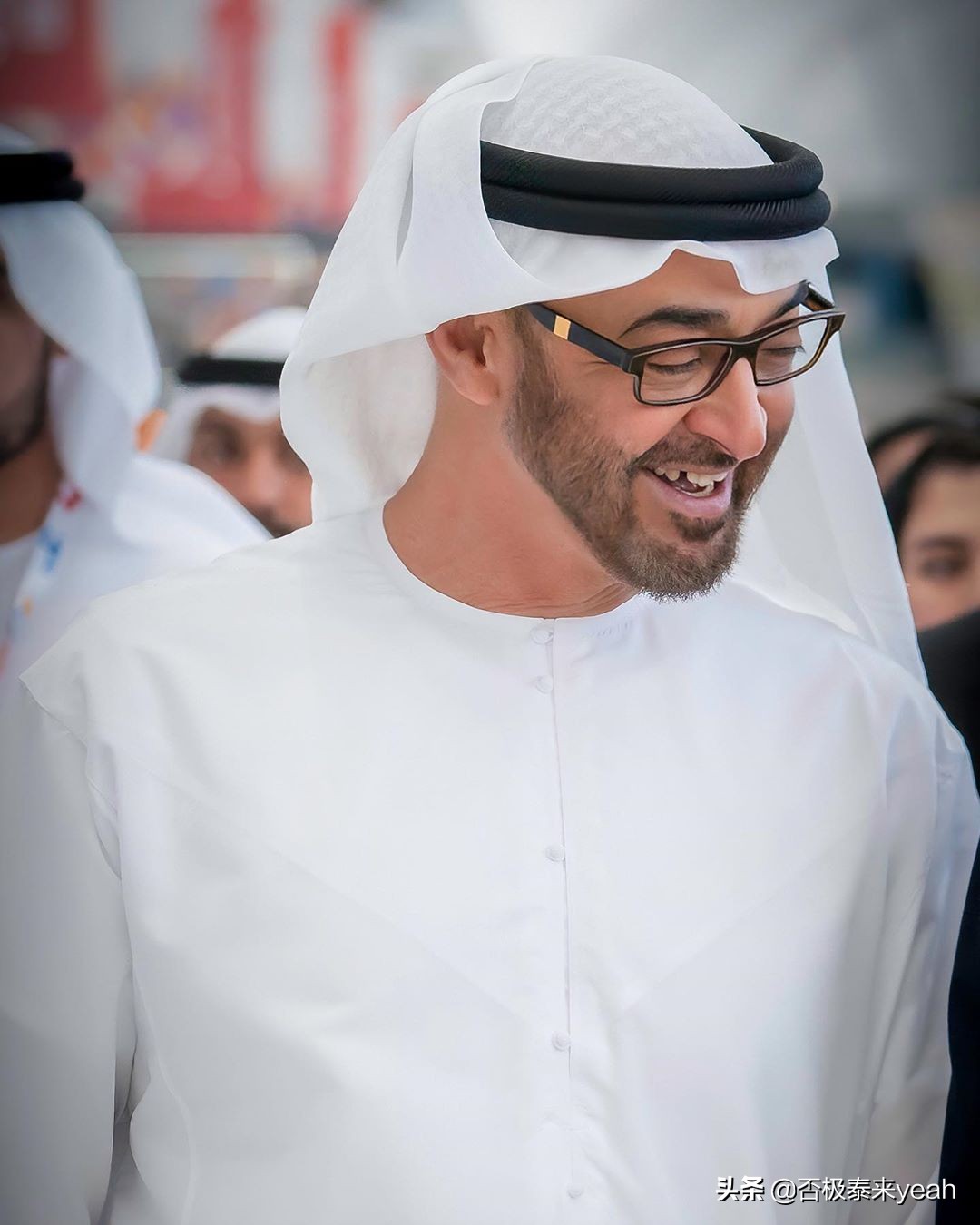 阿联酋最高统治者,阿联酋最高统治者国王