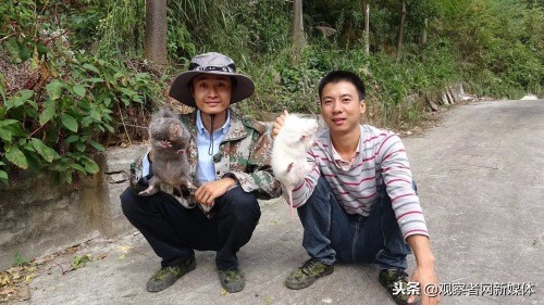 鍗庡啘鍏勫紵鍙嬫儏,鍗庡啘鍏勫紵娌宠竟