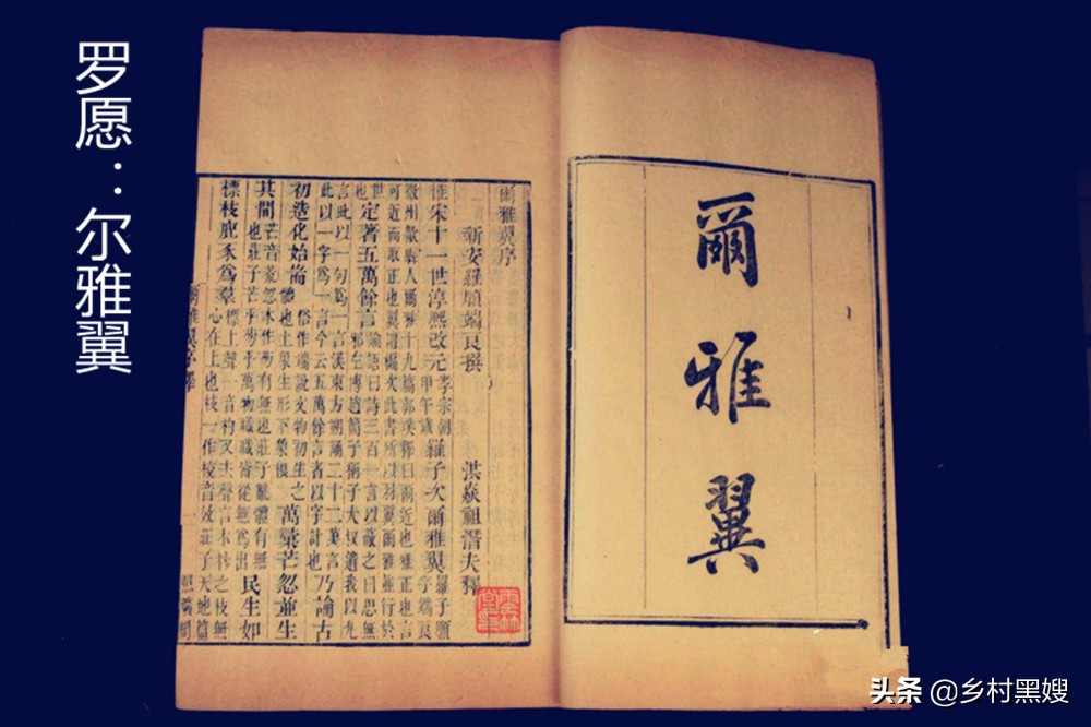 芋头来自哪里,芋头源头