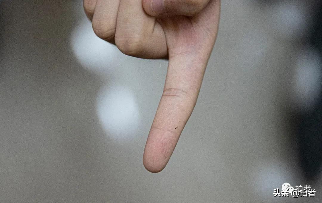 香港劏房妈妈生3个女儿,香港住劏房的妈妈