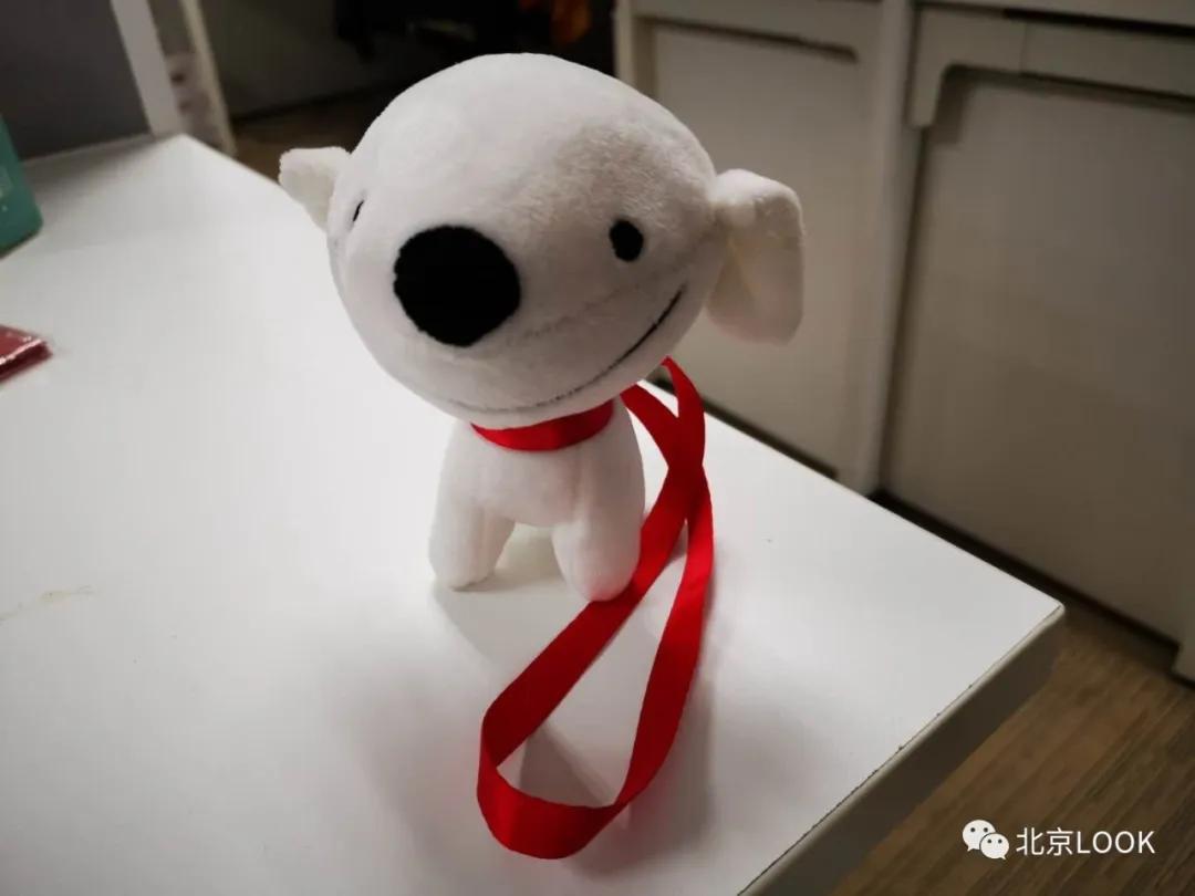 别人家的公司,别人家的公司还招人吗