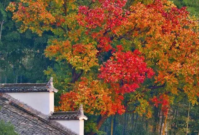 六月我们一起去旅行,九月带你去旅行