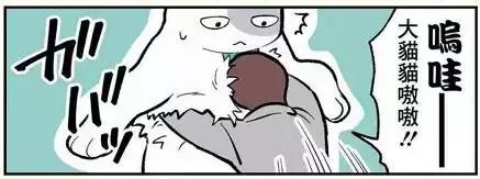 假如自己变成猫是什么体验,从人类变成猫是什么体验