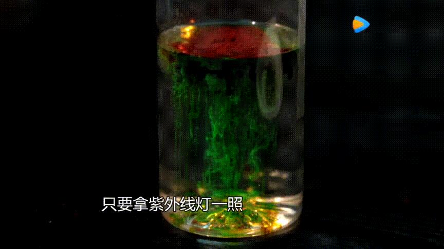 蹲便和坐便，到底谁更容易溅起细菌？