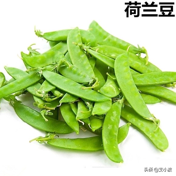 欧洲荷兰真实生活冷知识,荷兰阿姆斯特丹的冷知识