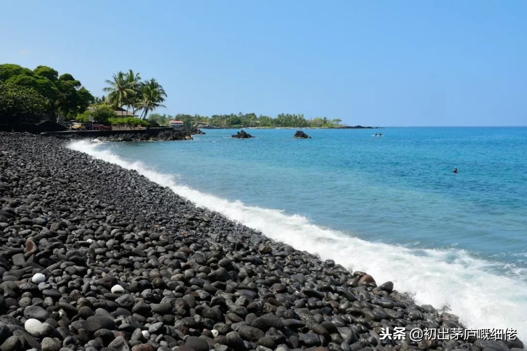 十种不能带回家的旅游纪念品,不能带的旅行纪念品有哪些