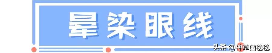 三招教你秒变大眼睛技巧,三招教你眼睛又大又美