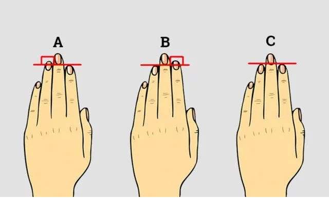 无名指比食指长一定是聪明的人吗,食指与无名指比例决定你的吸引力