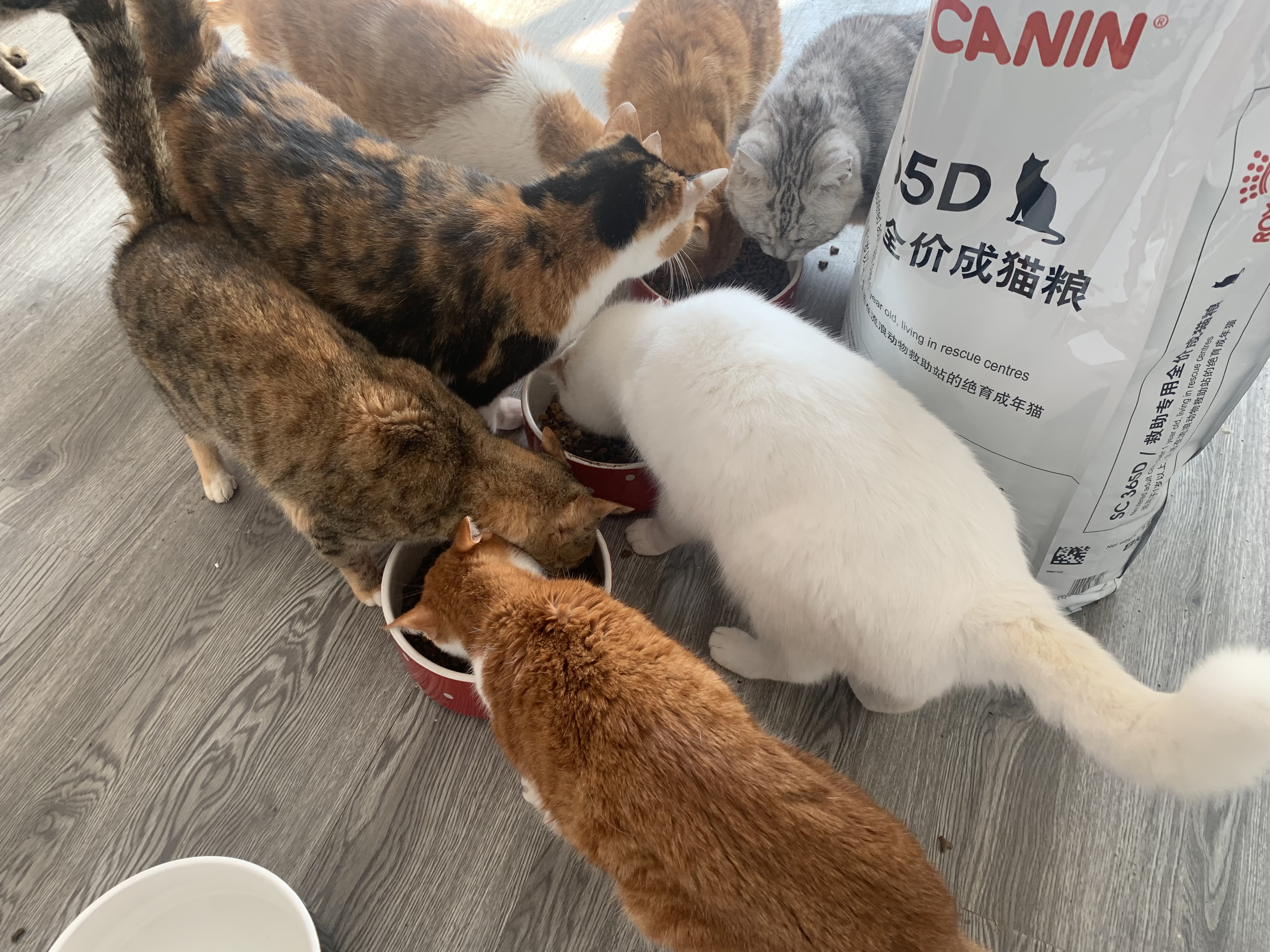 鐢ㄥ績鍔╁姏鐤儏闃叉帶,鐢ㄥ績鎴樼柅浠ョ埍鎶よ埅