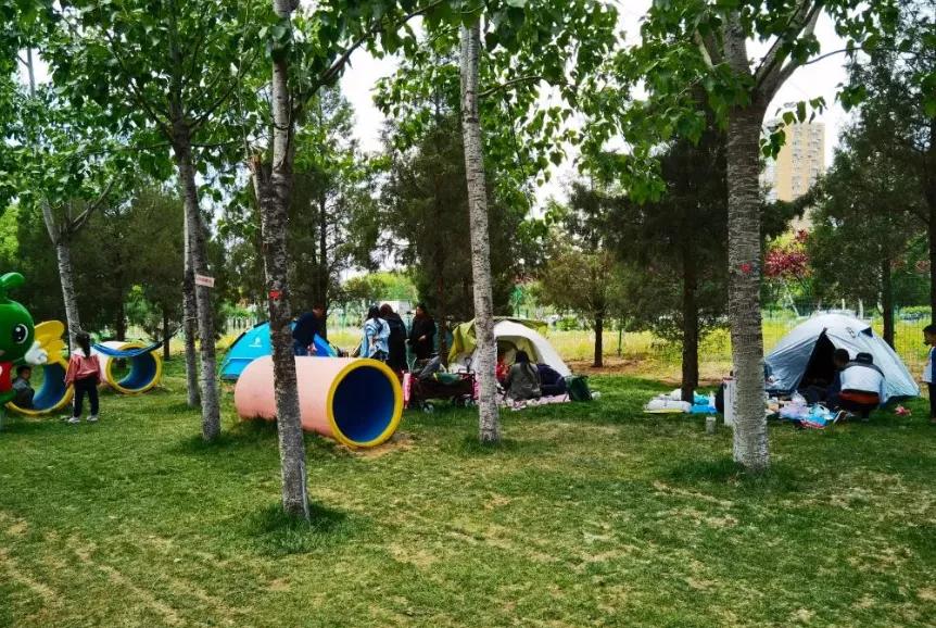 閲戠涓板彴璧忕帺鏀荤暐鍑虹倝,涓板彴閲戠鏂囧寲鏃呮父鏀荤暐