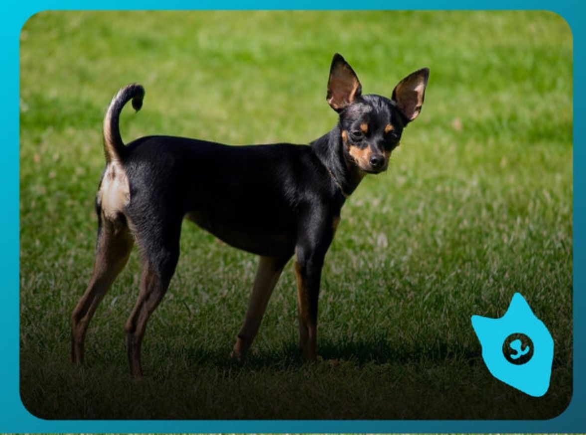 俄罗斯最著名的十大雕塑是,俄罗斯最著名的十大建筑物