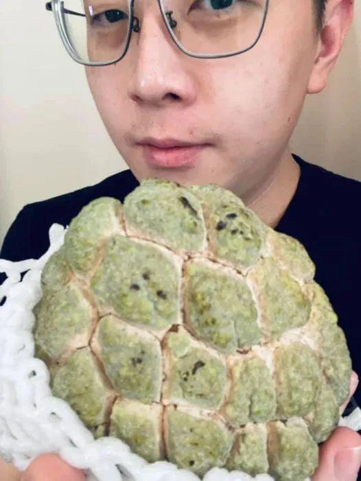 桔臀纹粉蚧,桧柏臀纹粉蚧