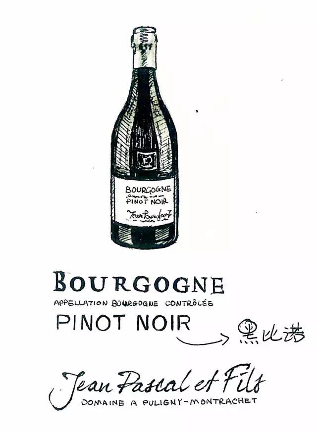 红酒知识100个问答,七个问题瞬间让你清醒