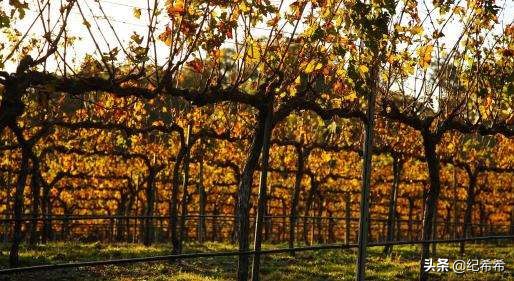 不能错过的十大好货,不能错过的亲民价格