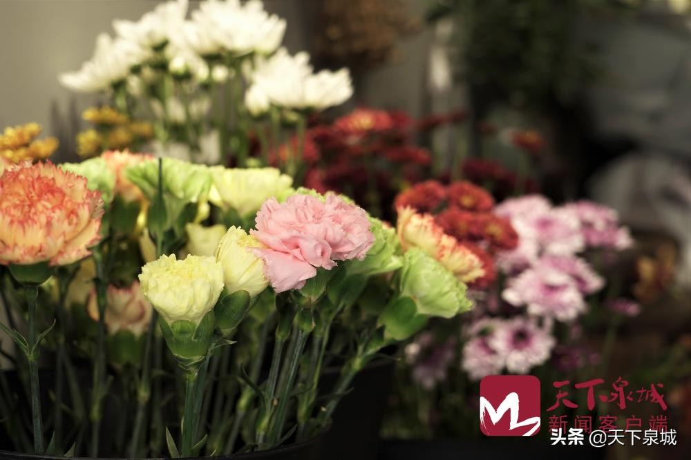 看见春天的样子,看到春天的样子