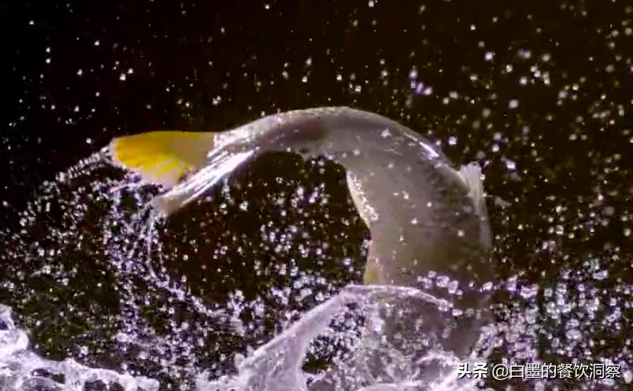 聚焦爆款菜！卖出400万份红烧鲤鱼后，他决定坚守一辈子