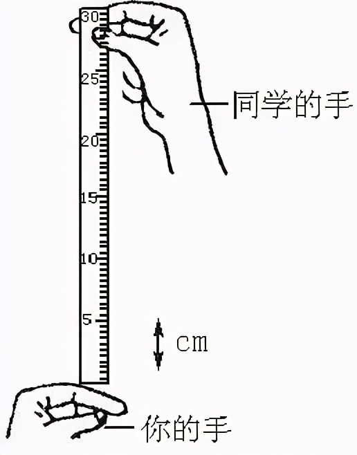 退休课堂︱人老了反应慢？不用担心，练一练开车都没问题