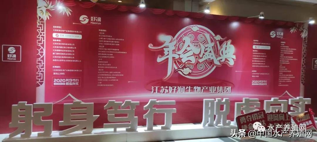 公司集团化蜕变升级的关键年，好润一口气表彰183个先进集体和个人，全力冲击2021