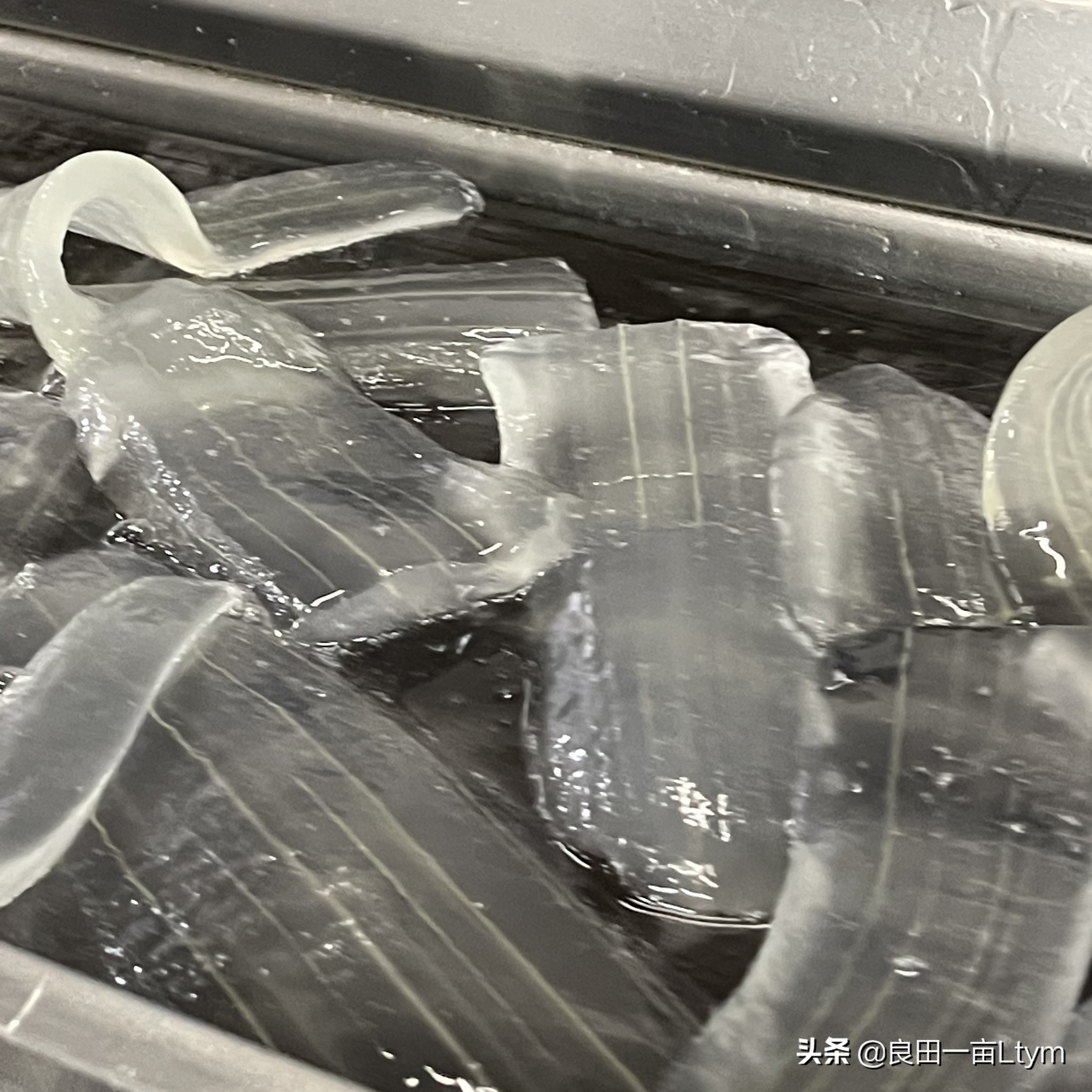 “活着的芦荟护肤品”，你来云南元江看一次芦荟海就够了