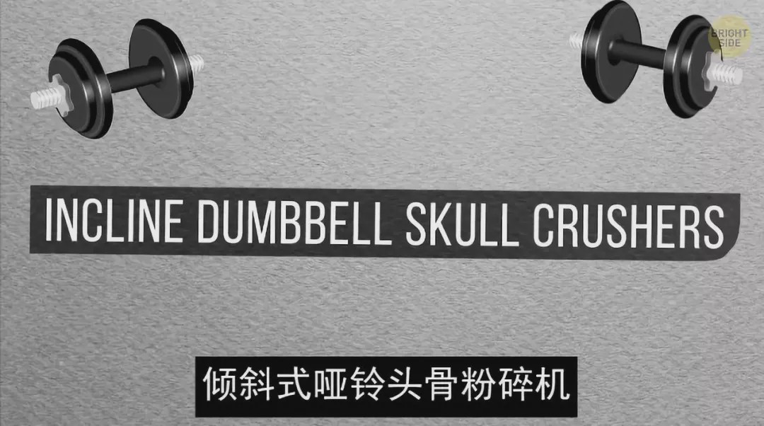 怎么练手臂的肱三头,怎么才能练出手臂的肱三头肌