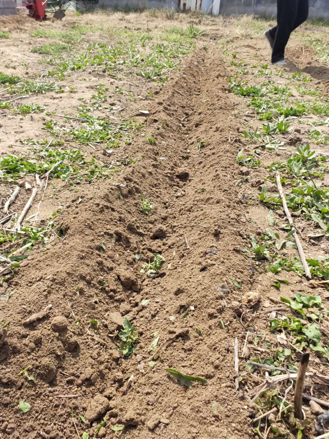 新式除草机有哪些,除草专用机器大全