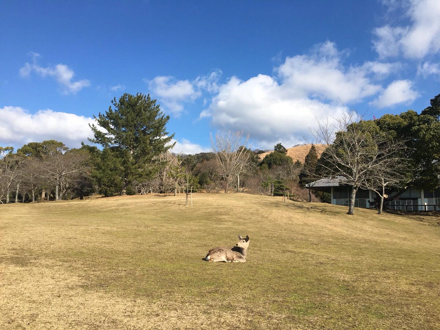 日本大阪城攻略,大阪日本攻略