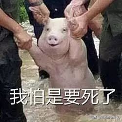 有荧光剂的姨妈巾的危害,姨妈巾里面的晶体有毒吗