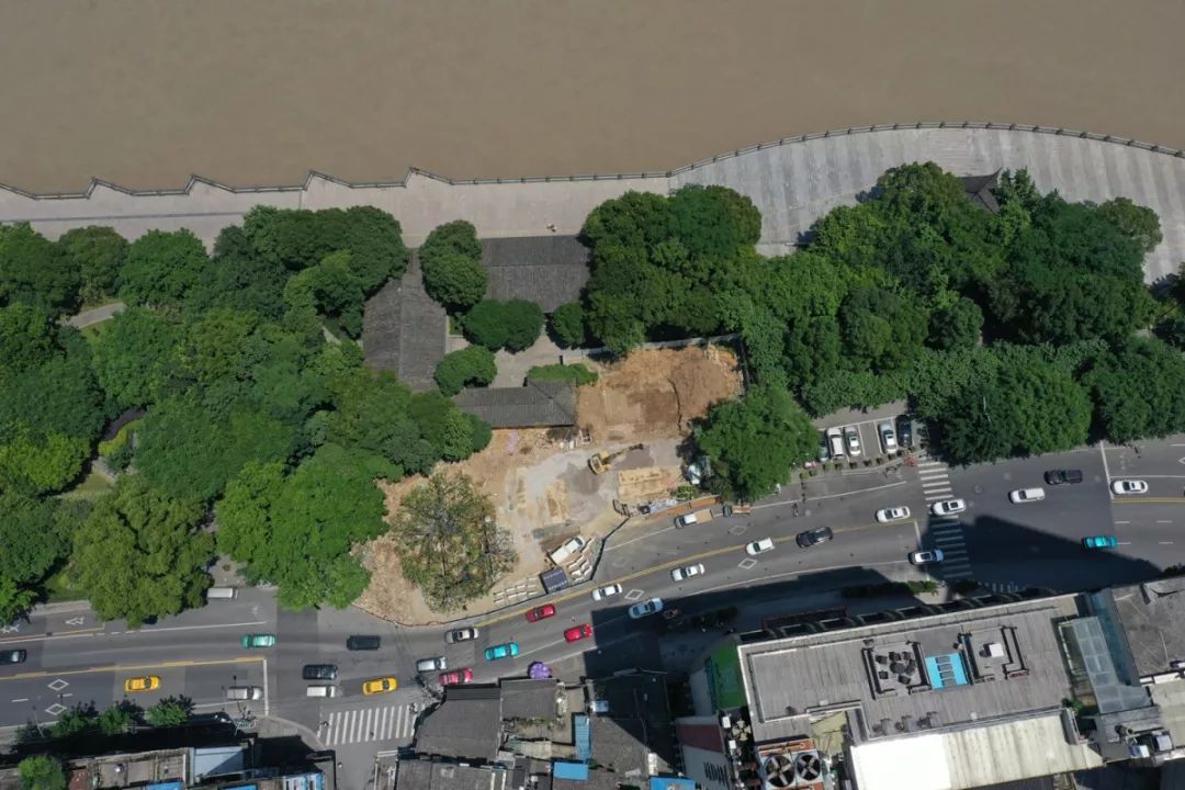 温州望江路上那棵125岁大榕树今天“搬家”！只因…