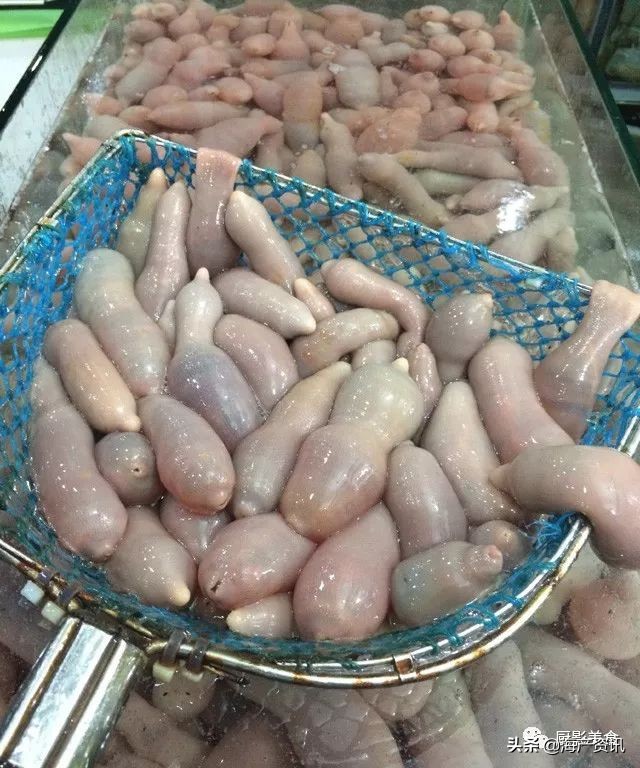 全世界顶级的4种海鲜,世界十大名贵海鲜