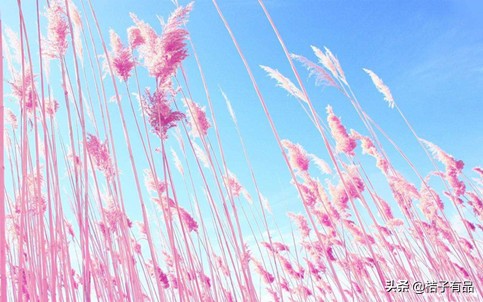 眼部下方皱纹厉害与胆经有关么,眼部下方有放射性的皱纹怎么办