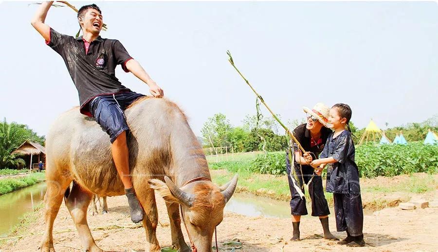 生态生物链家庭农场经营模式,农场盘活资产的最佳方法