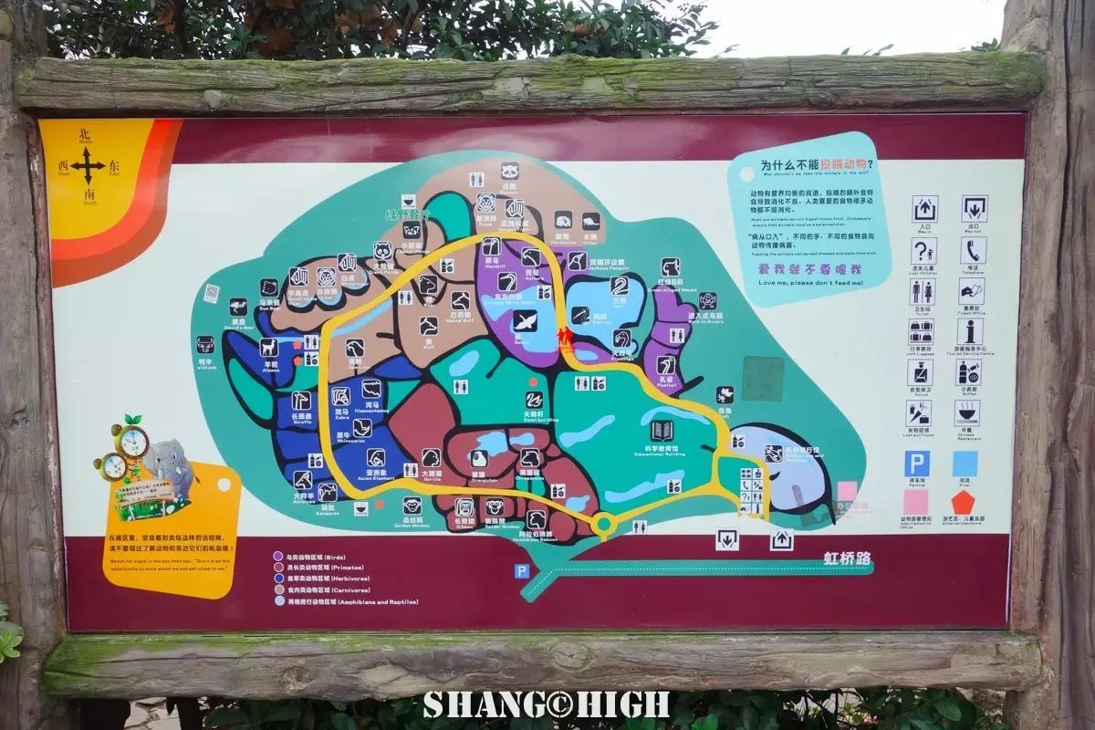 记者探访广州动物园,动物园观察动物