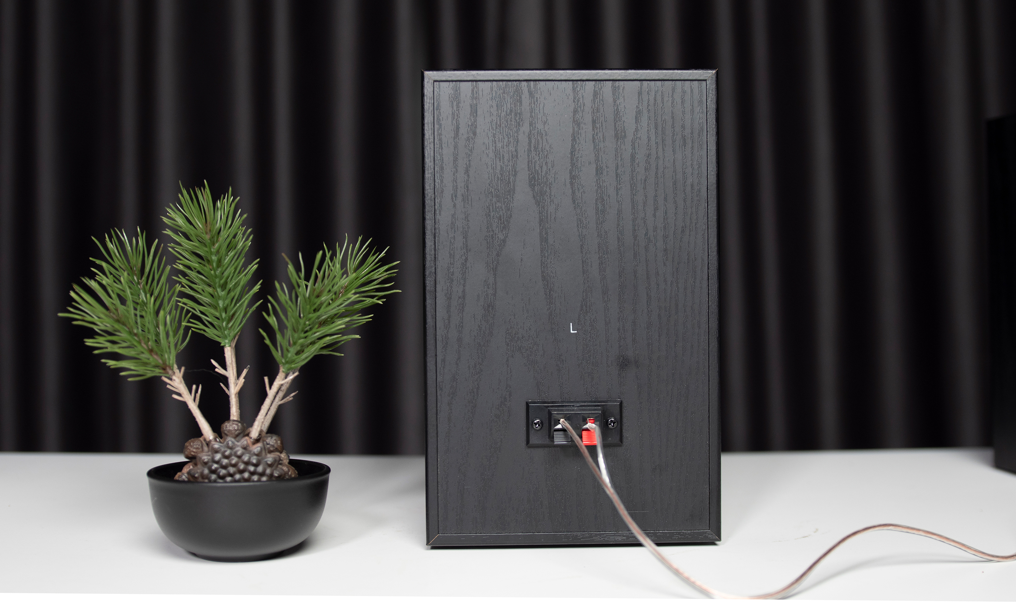 什么音箱可以有麦克风说话,用麦克风和喊话器唱歌