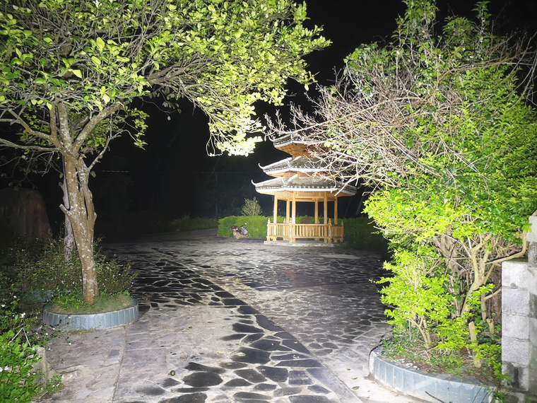 自从拍完这个手电之后,公园里人少了好多