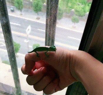 搞笑gif开心一刻,搞笑gif段子妹子你太皮了